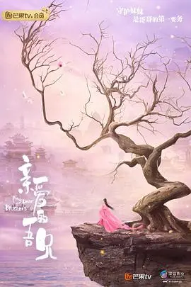 《亲爱的吾兄》：霸道哥哥的甜蜜守护，狗血又上头的泰式兄妹情！