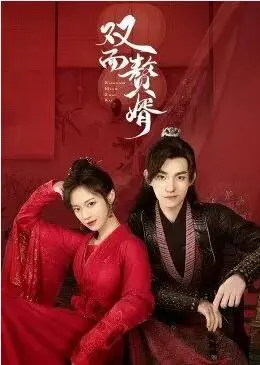 《双面赘婿》：逆袭人生！霸道总裁隐藏身份，上演现代版英雄成长史诗